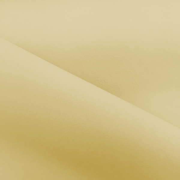 Plain Leatherette CREAM